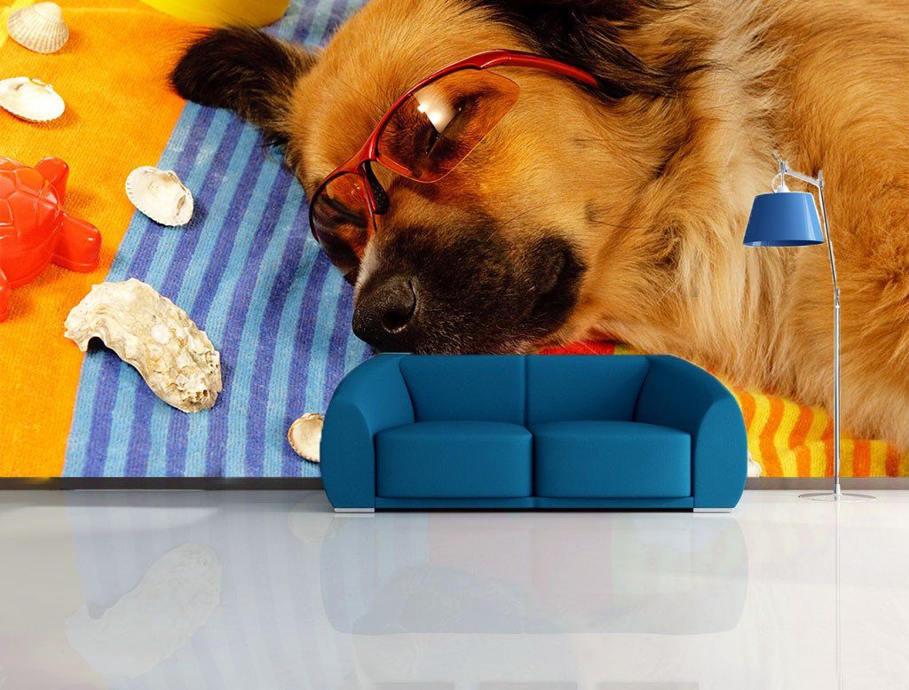 Sleeping Dog Wallpaper AJ Wallpaper