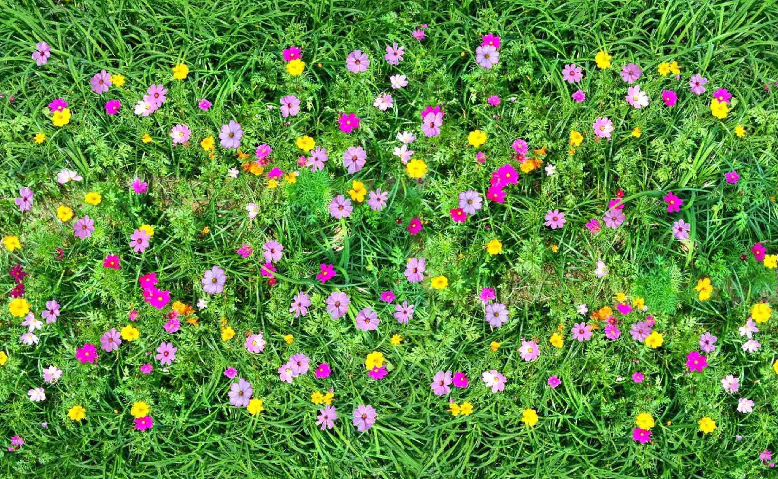 3D Lush Grass Flowers 152 Kitchen Mat Floor Mural Wallpaper AJ Wallpaper