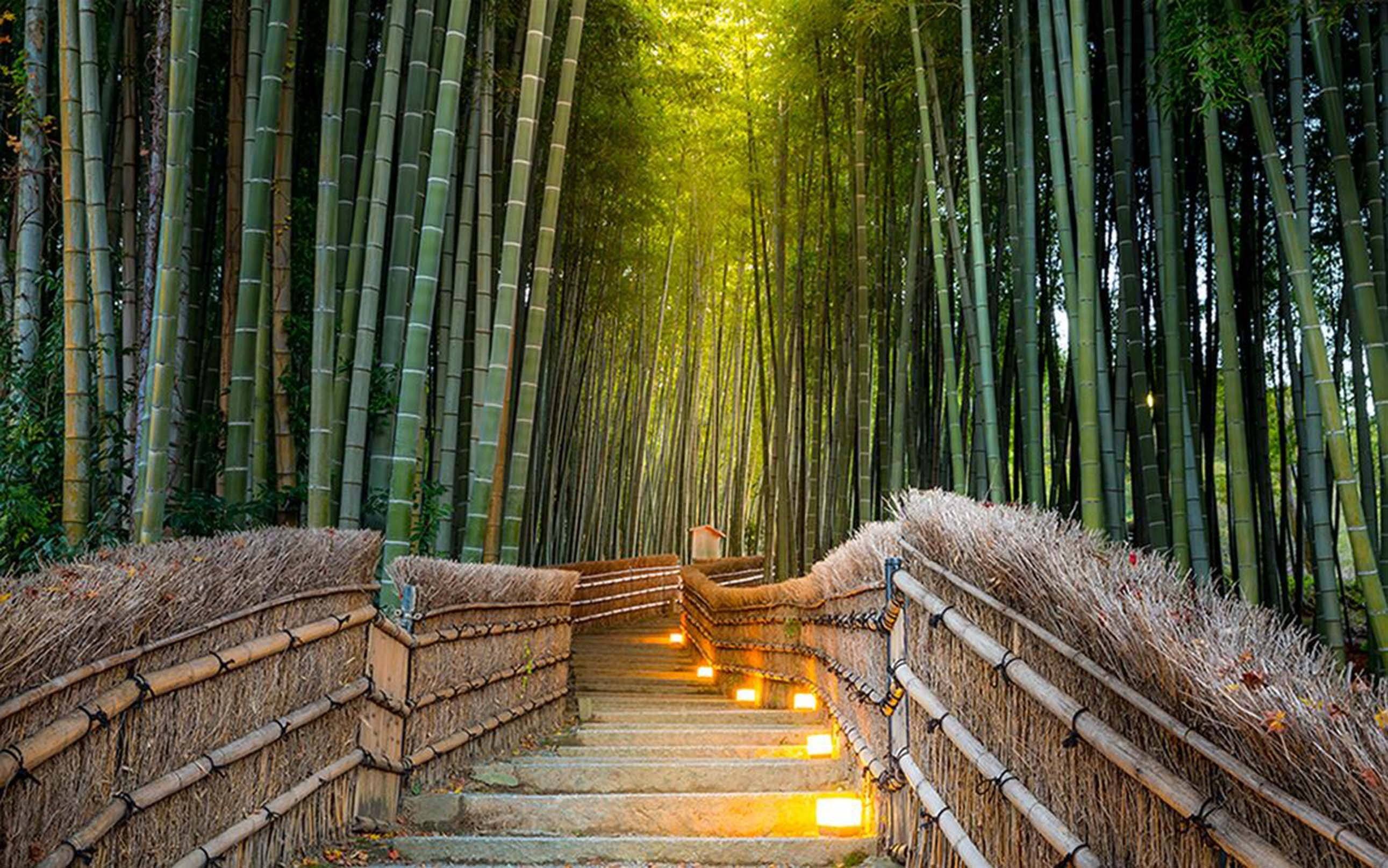 3D Bamboo Forest Stairs 378 Garage Door Mural Wallpaper AJ Wallpaper