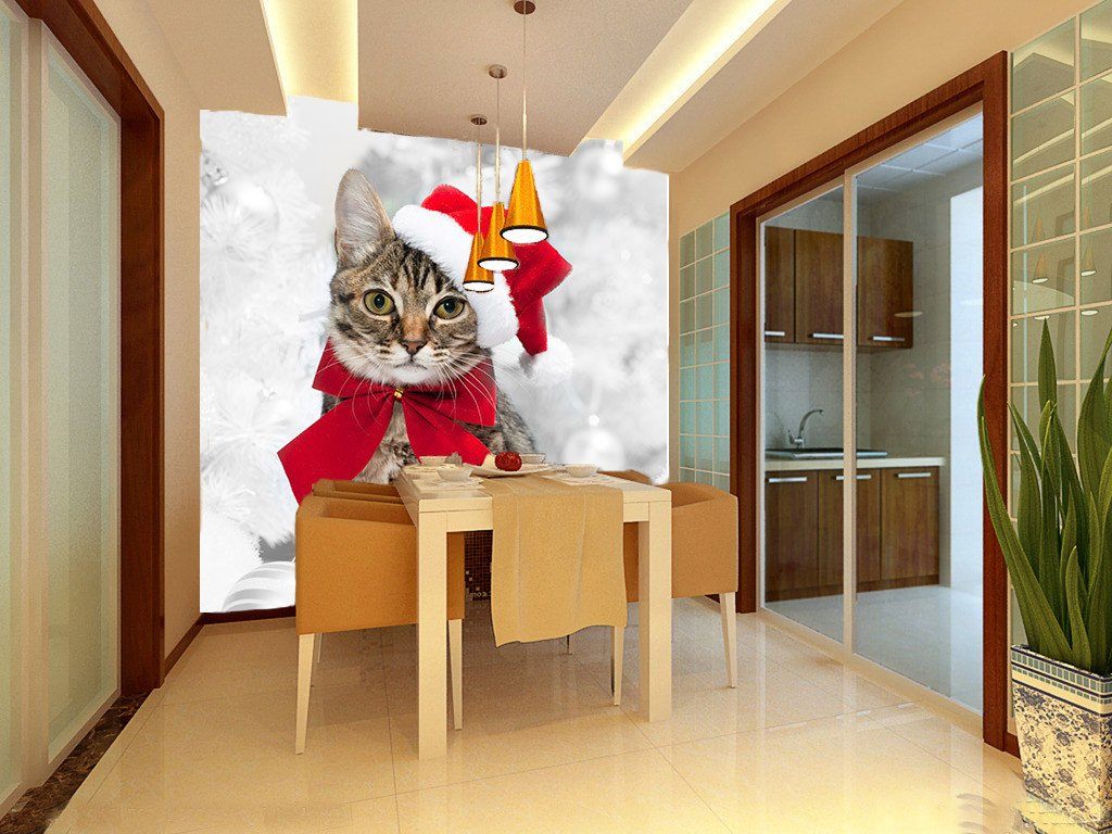 Christmas Cat Wallpaper AJ Wallpaper
