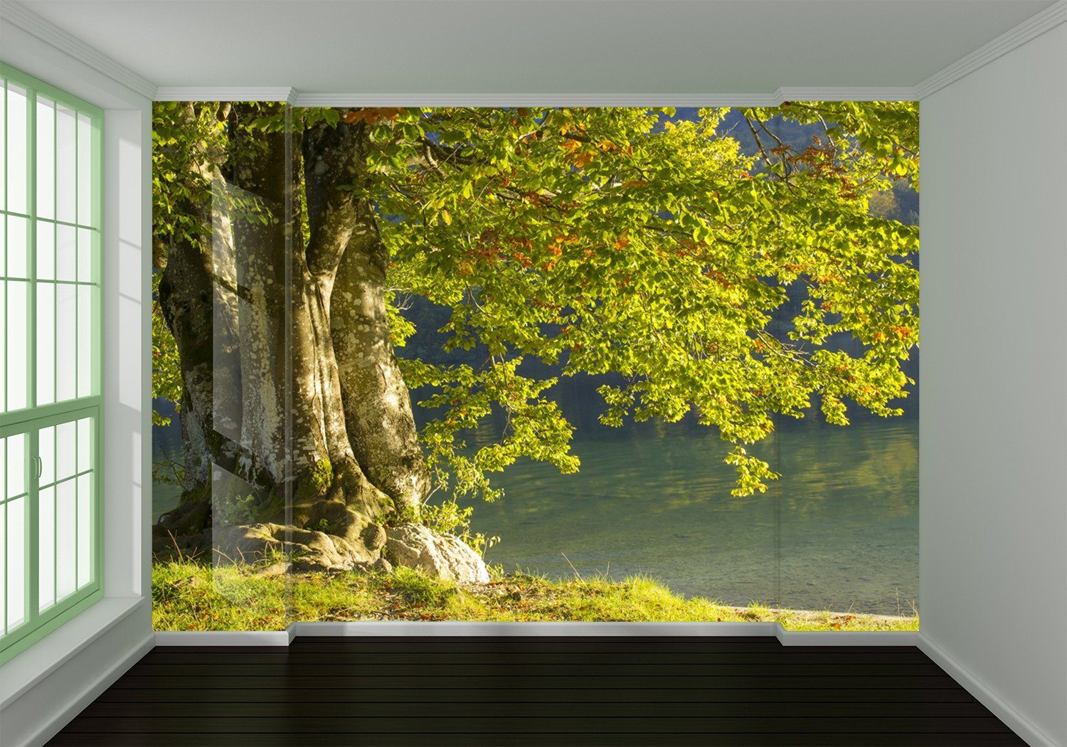 Green Tree Old Trunk 665 Wallpaper AJ Wallpaper