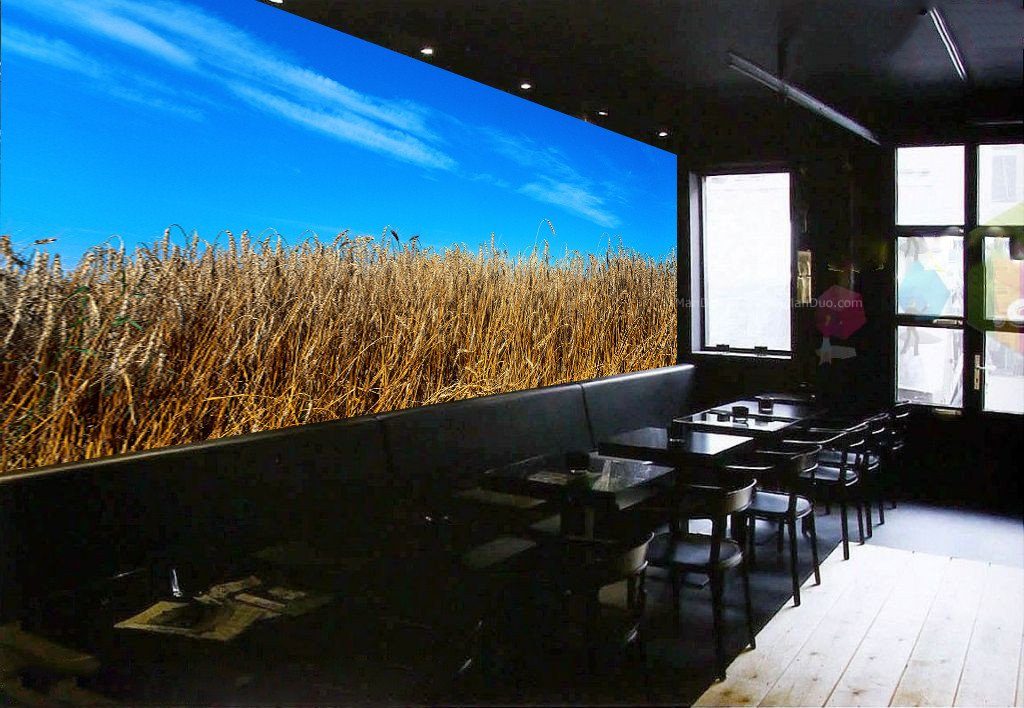 Mature Wheat Wallpaper AJ Wallpaper