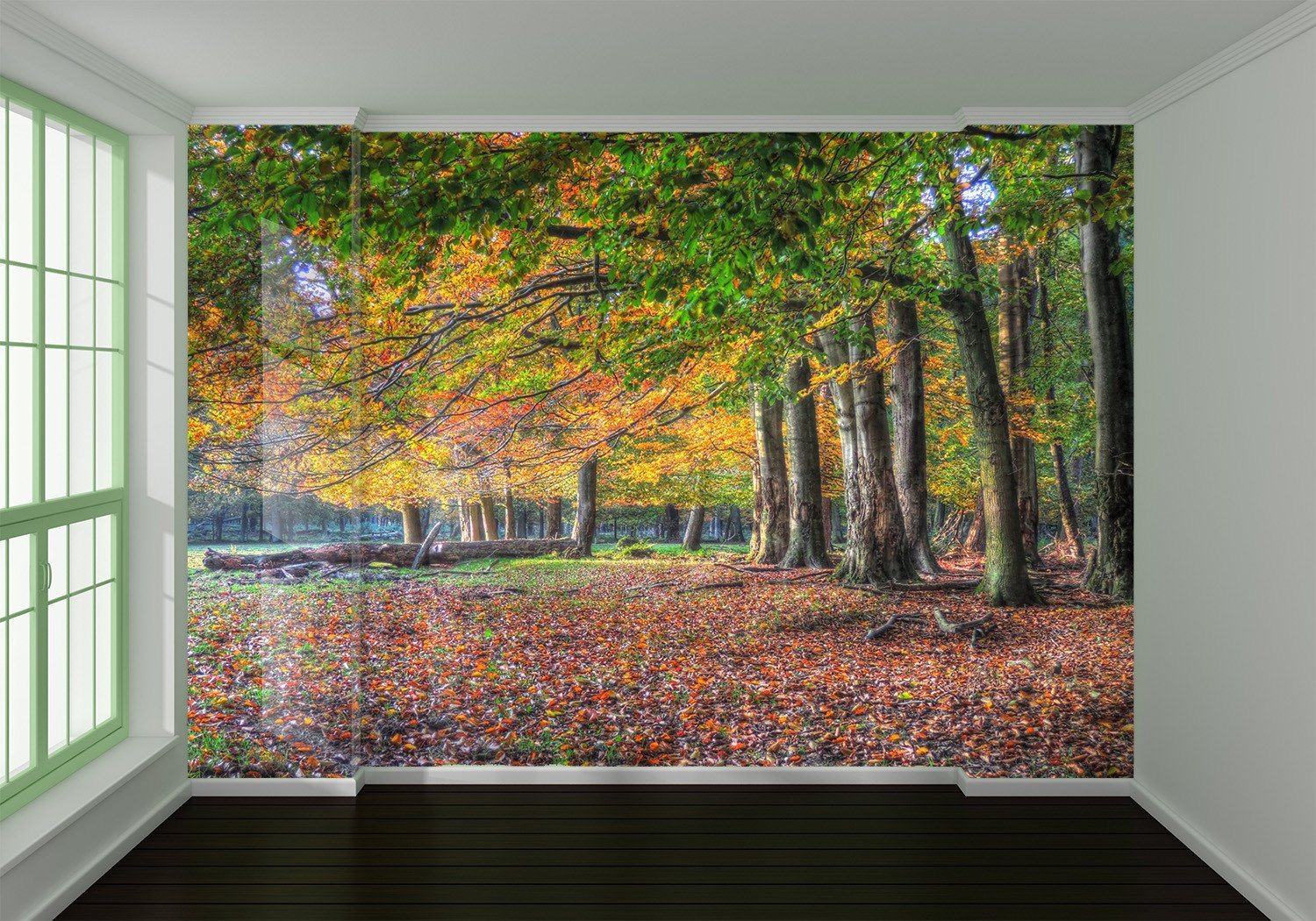 3D Jungle Autumn Forest Tree 32 Wallpaper AJ Wallpaper 2