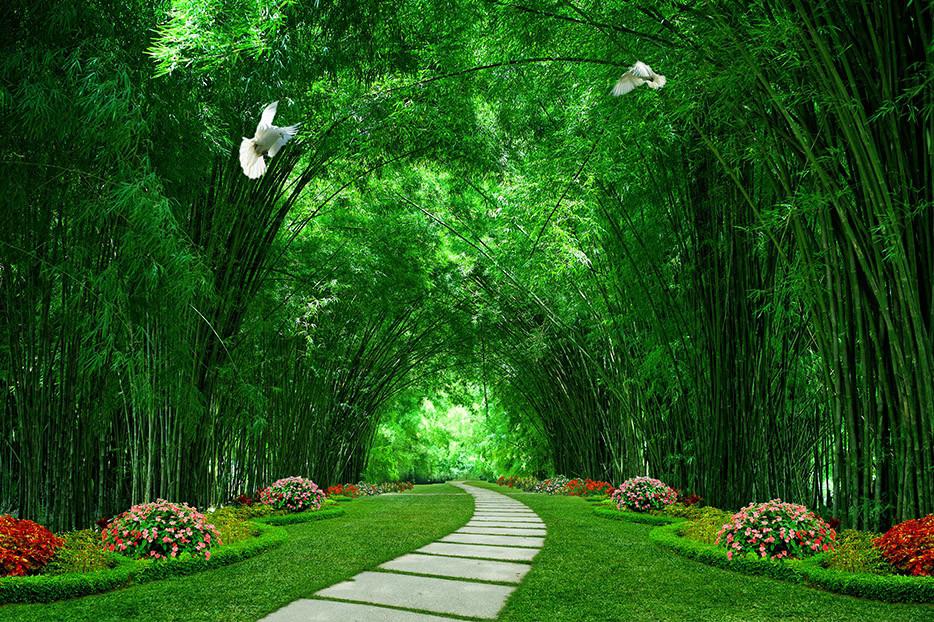 3D Bamboo Forest Stone Road 291 Garage Door Mural Wallpaper AJ Wallpaper
