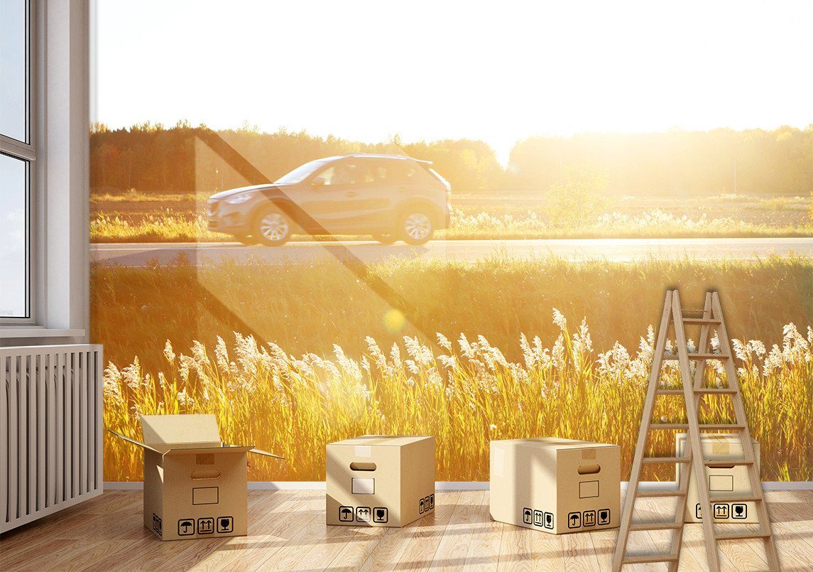 3D Wild Sunshine Running Car 22 Wallpaper AJ Wallpaper 2