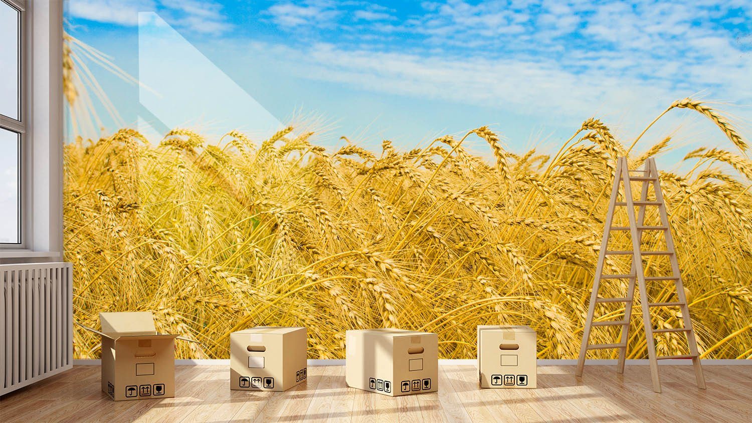 Mature Wheat Field Wallpaper AJ Wallpaper