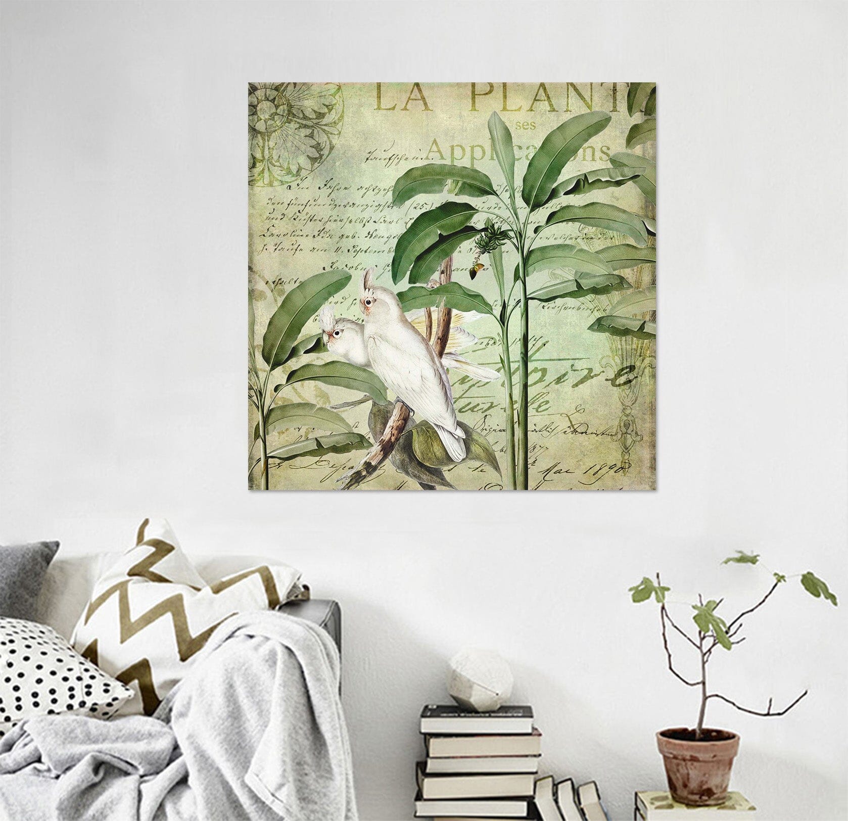 3D Kakadu 054 Andrea haase Wall Sticker Wallpaper AJ Wallpaper 2