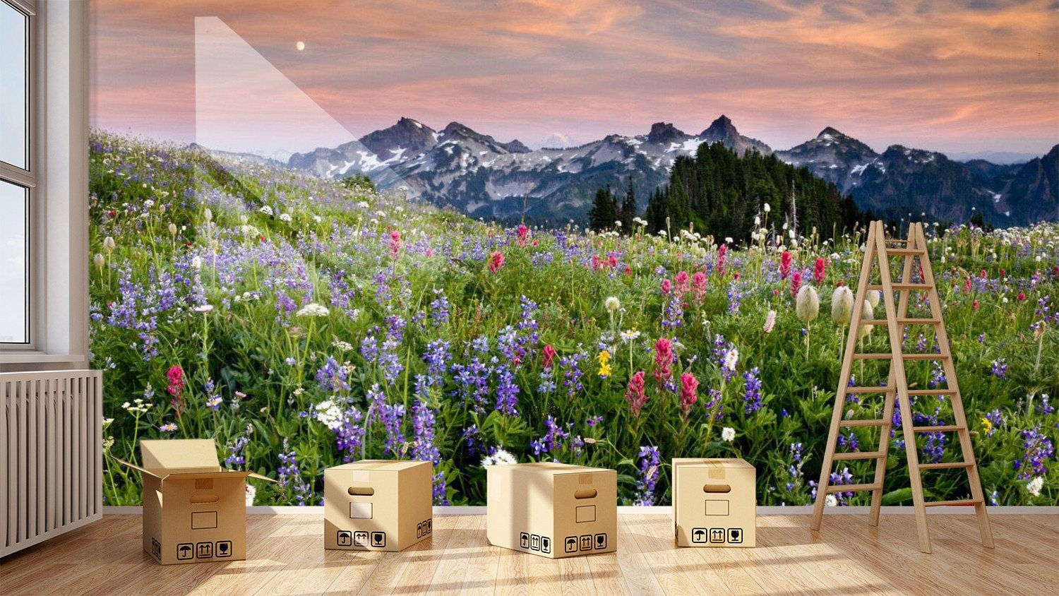 Purple Wisteria 56 Wallpaper AJ Wallpaper 1