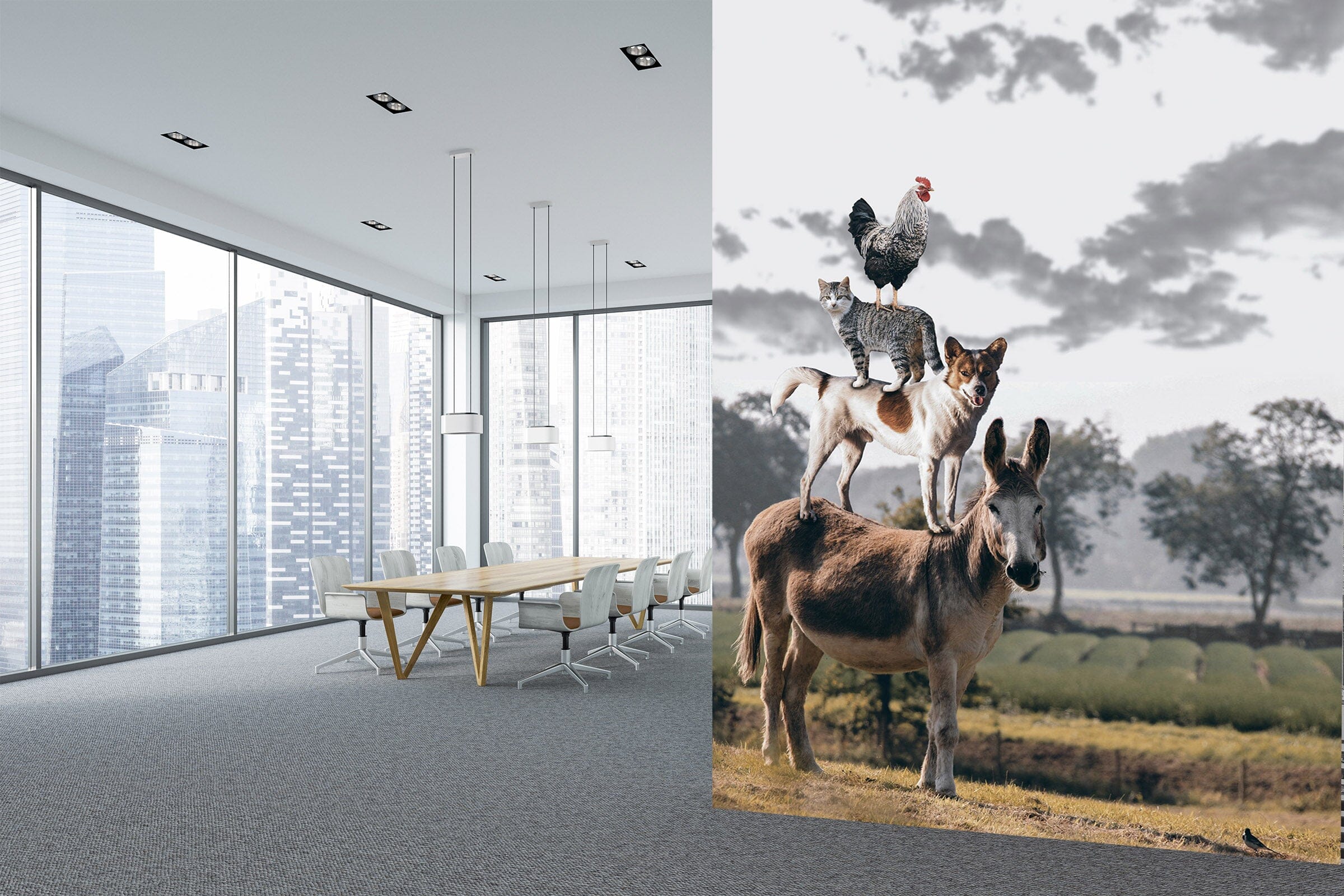 3D Donkey Puppy 125 Wall Murals Wallpaper AJ Wallpaper 2