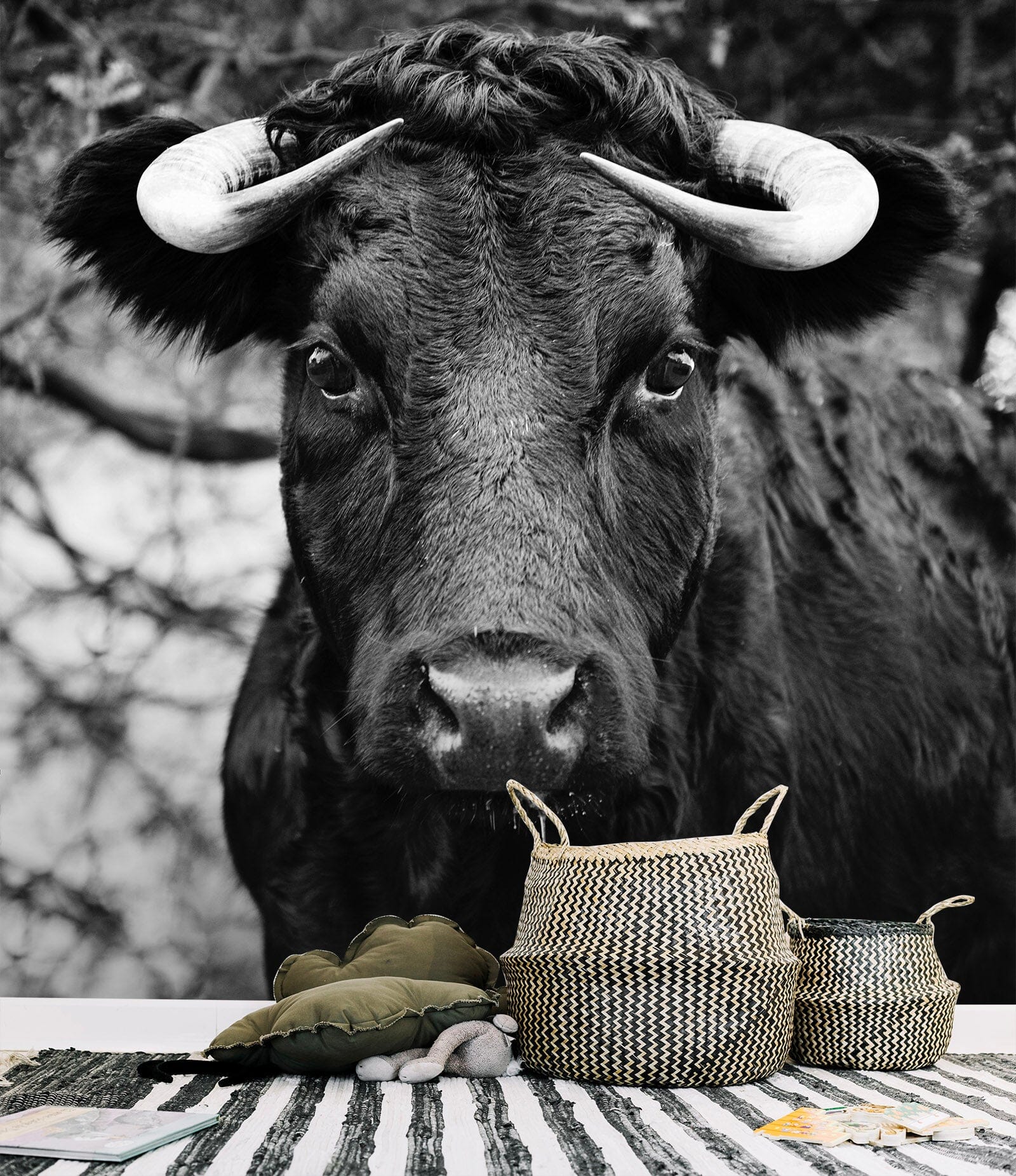 3D Black Cow 434 Wall Murals Wallpaper AJ Wallpaper 2