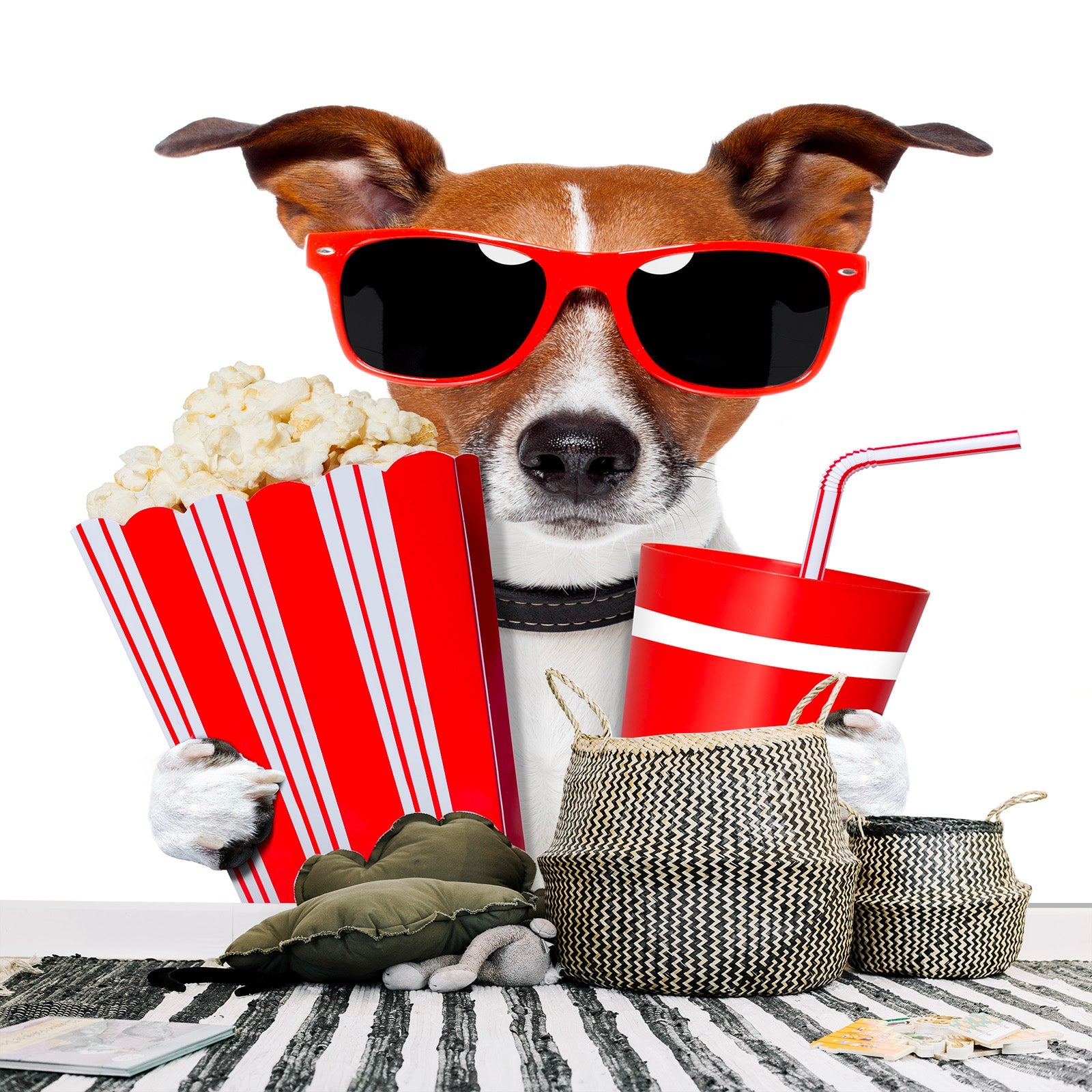 3D Trend Dog 011 Wall Murals Wallpaper AJ Wallpaper 2