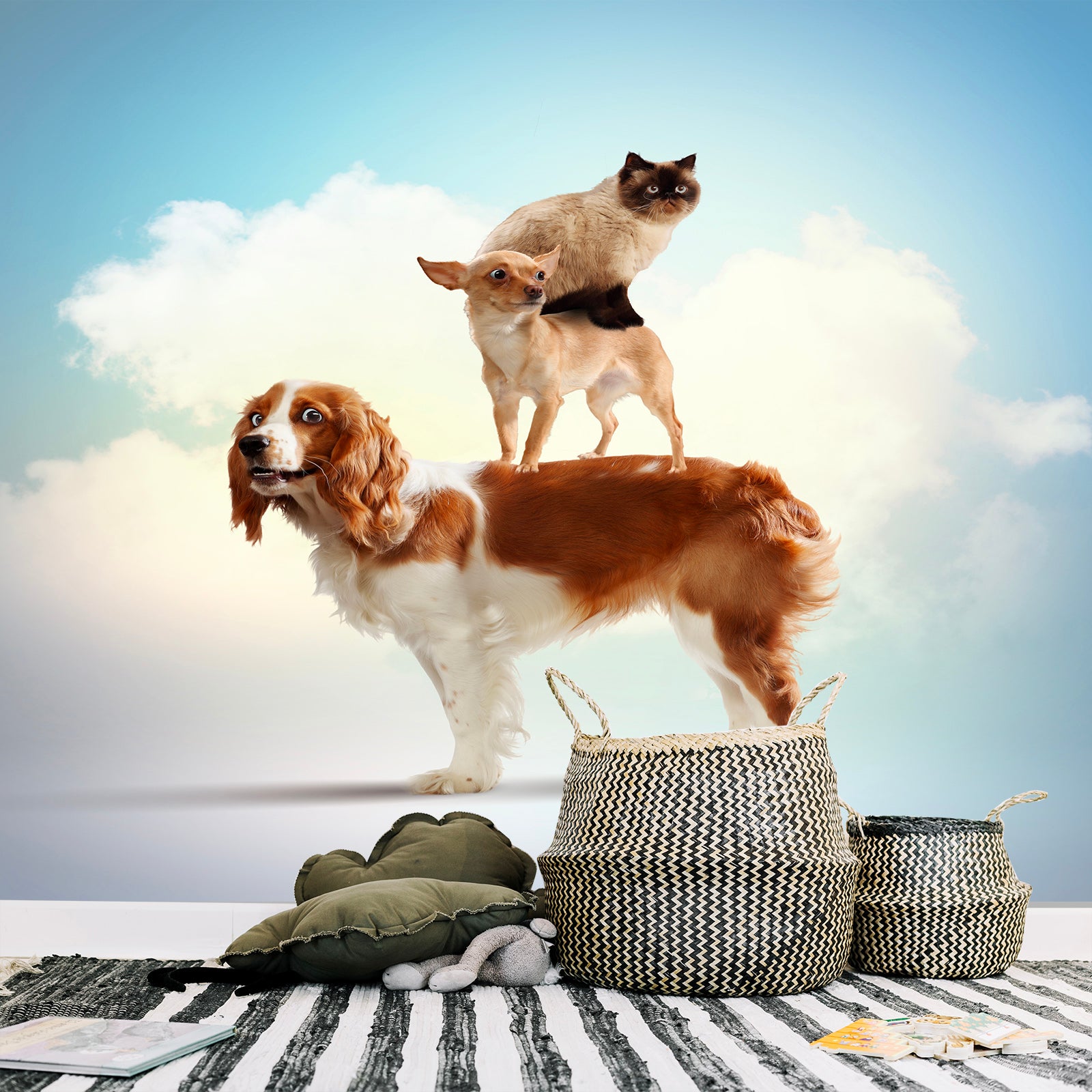 3D Cute Dog 005 Wall Murals Wallpaper AJ Wallpaper 2
