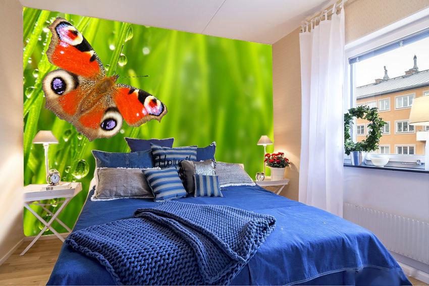 Butterfly Wallpaper AJ Wallpaper