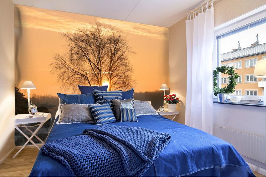 Sunset Glow Envelop One Tree 37 Wallpaper AJ Wallpaper