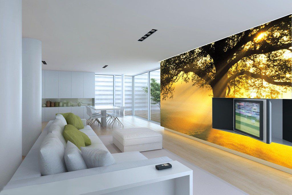 Tree Bright Sunshine Wallpaper AJ Wallpaper