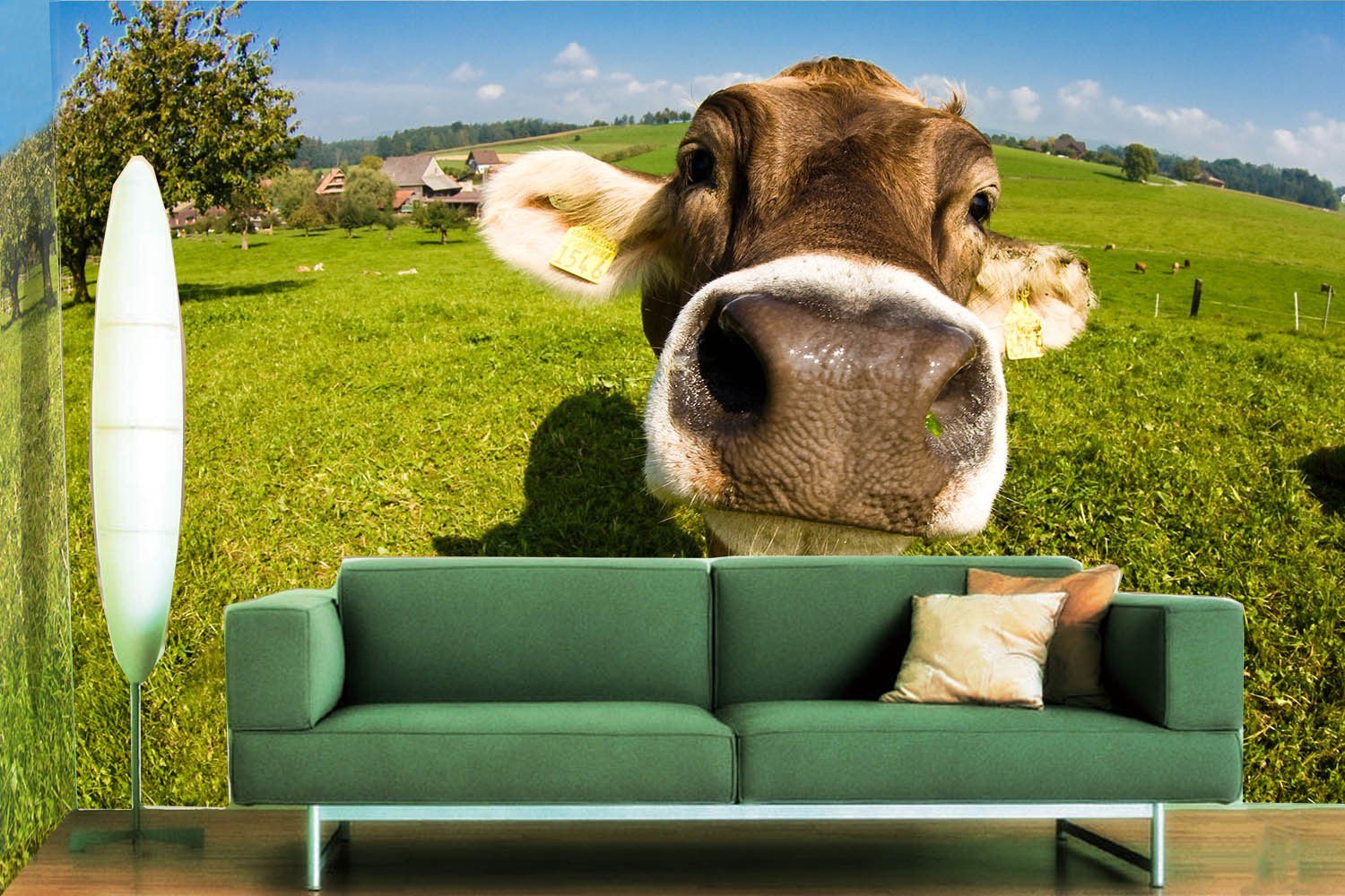 Big Cattle Head Wallpaper AJ Wallpaper