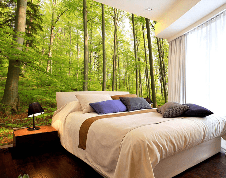 Forest Trees 1 Wallpaper AJ Wallpaper