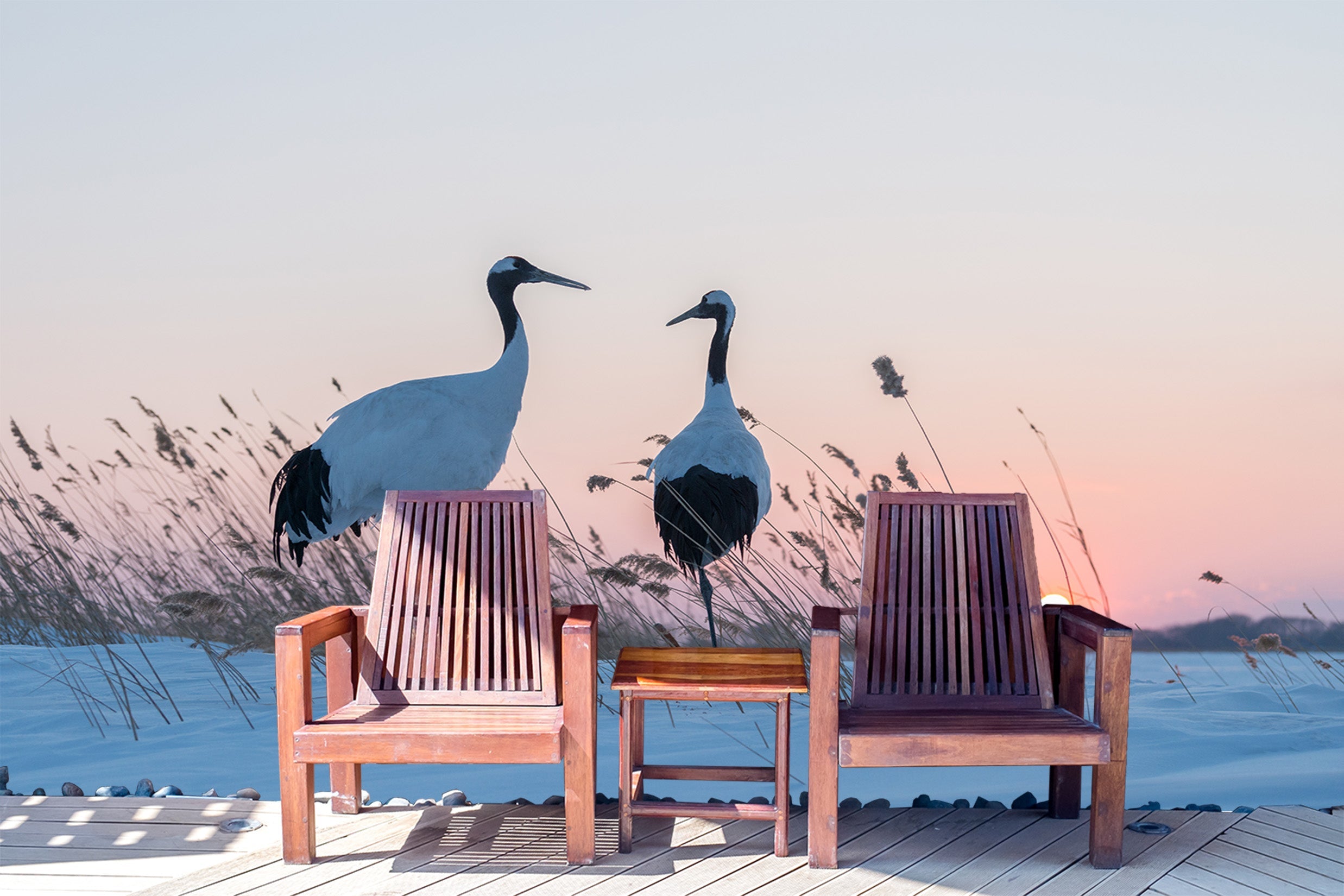 3D Snow Grassland Crane 040 Wall Murals Wallpaper AJ Wallpaper 2
