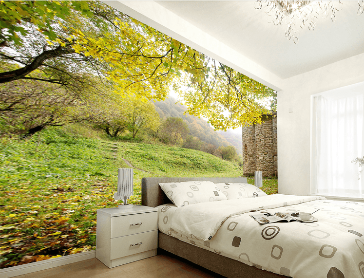 Mountain Path 2 Wallpaper AJ Wallpaper