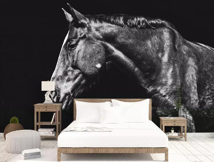 3D Black Horse 1200 Wall Murals Wallpaper AJ Wallpaper 2