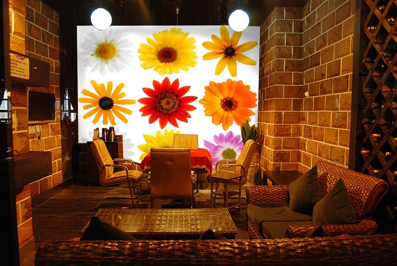 Differen Chrysanthemums Wallpaper AJ Wallpaper