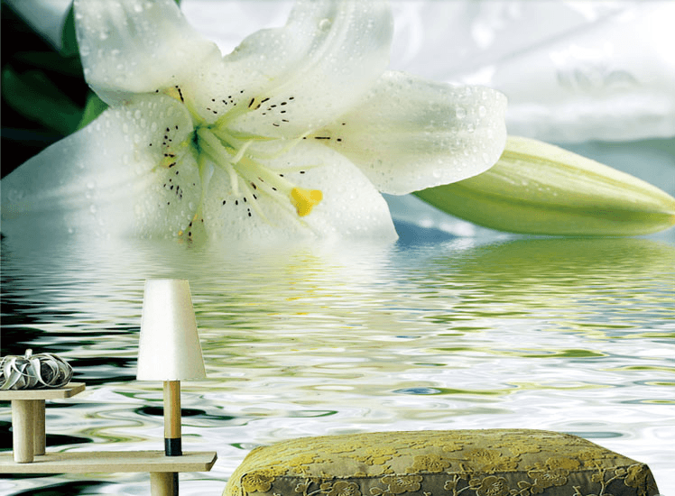 Fresh Lily Wallpaper AJ Wallpaper