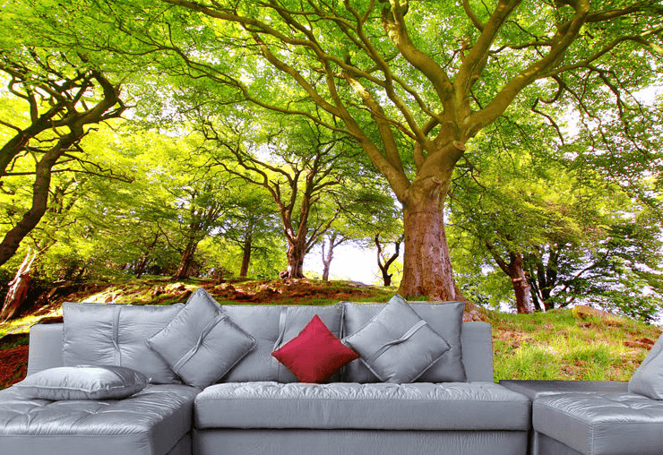 Green Trees 2 Wallpaper AJ Wallpaper