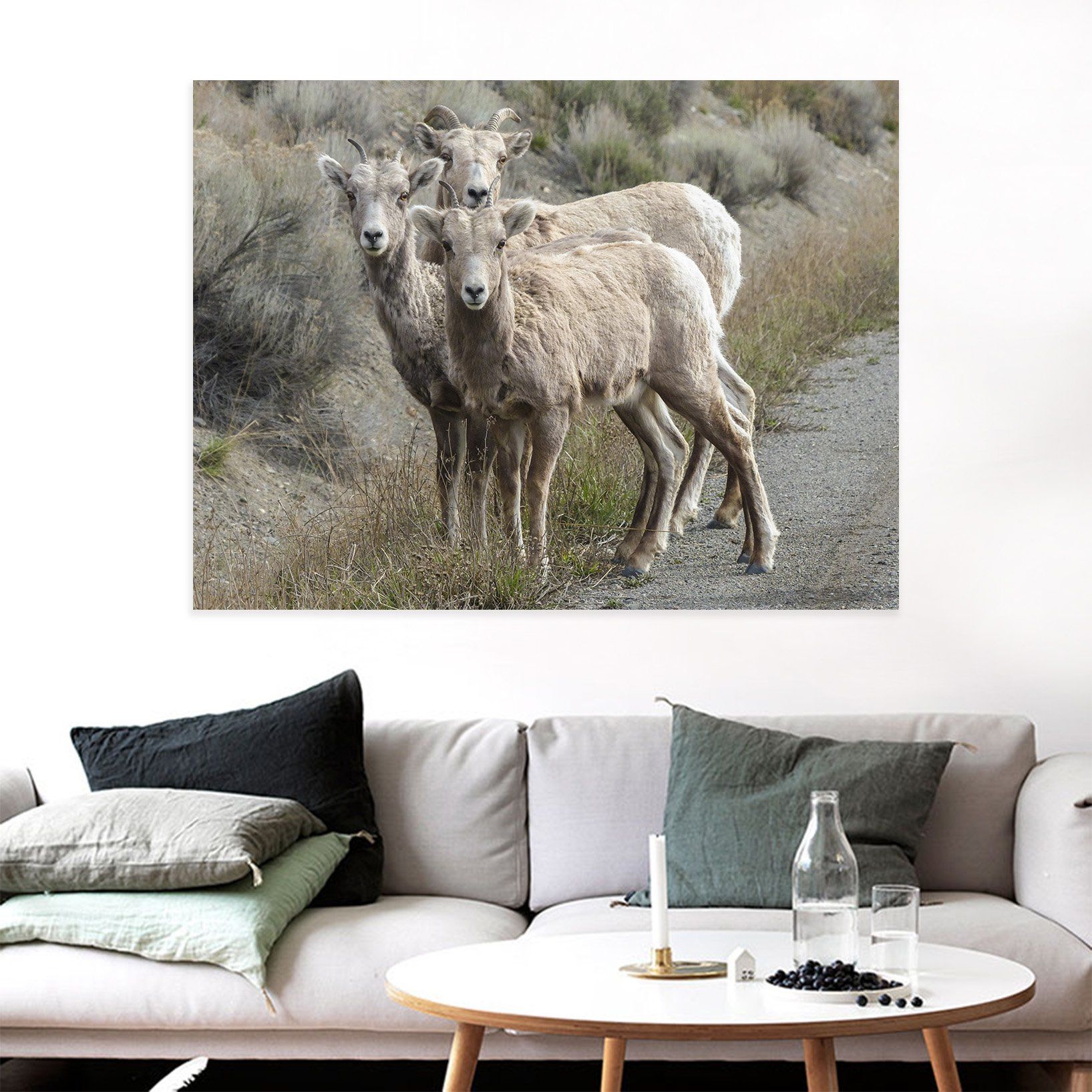 3D White Antelope 30 Animal Wall Stickers Wallpaper AJ Wallpaper 2