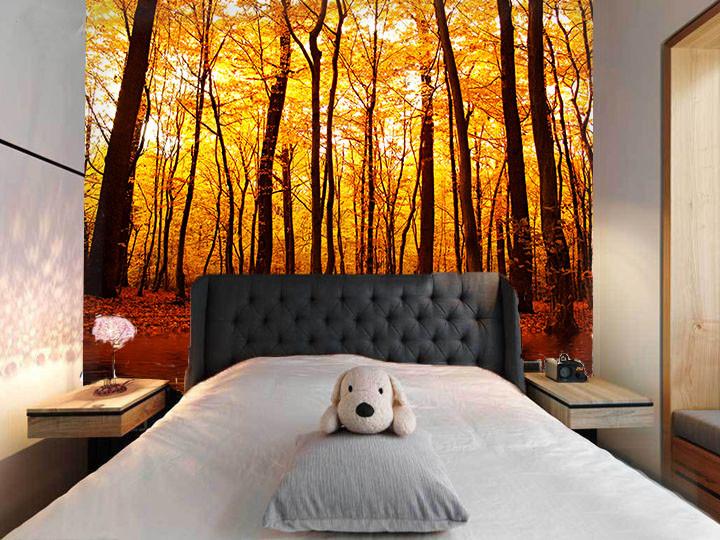 Riverside Forest 2 Wallpaper AJ Wallpaper