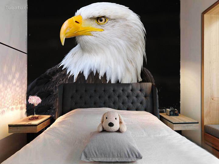 Beautiful Eagle Wallpaper AJ Wallpaper