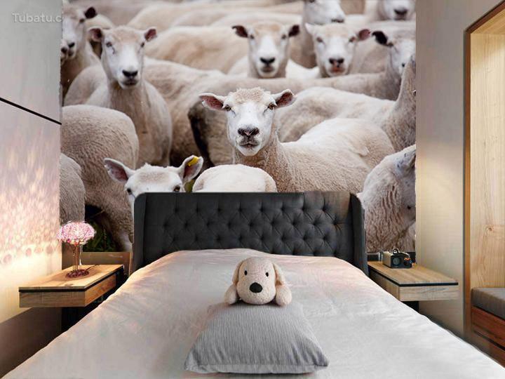 Flocks Of Sheep 2 Wallpaper AJ Wallpaper