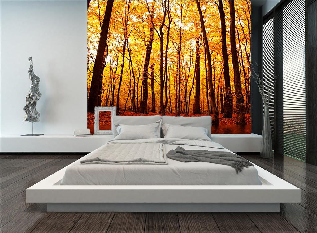 Riverside Forest 2 Wallpaper AJ Wallpaper