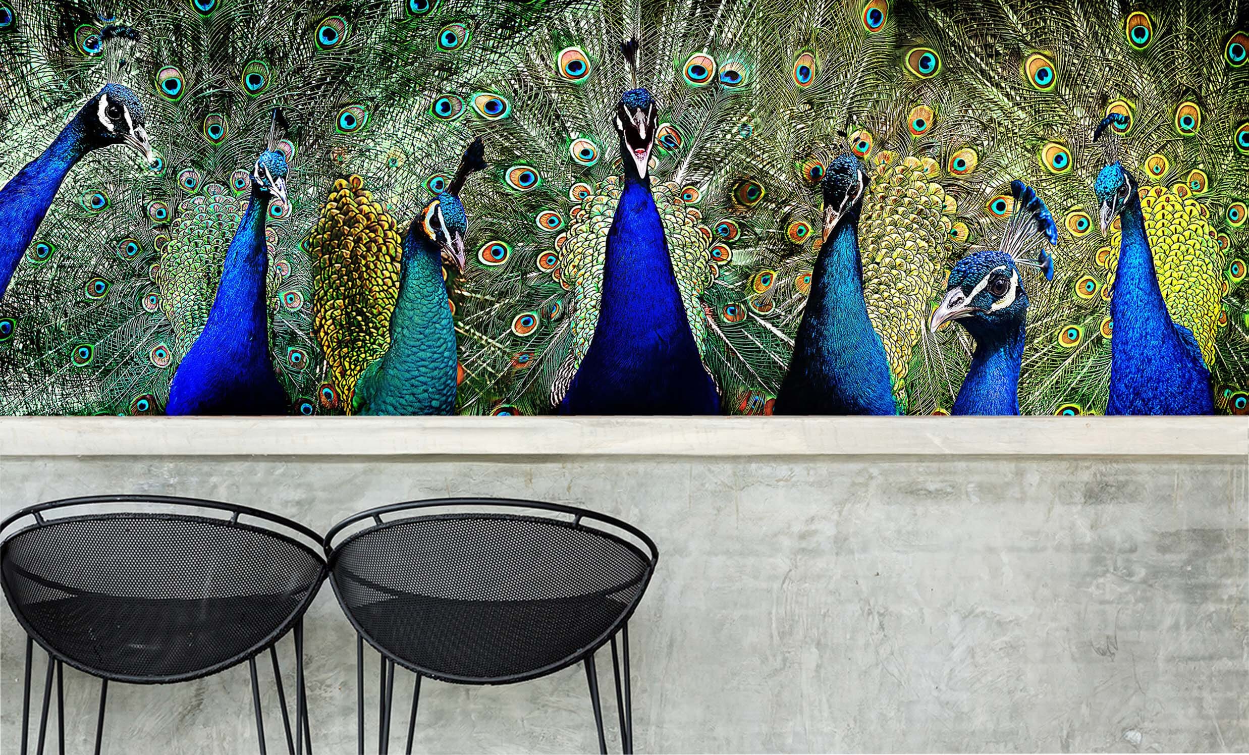 3D Blue Peacock 210 Wall Murals Wallpaper AJ Wallpaper 2