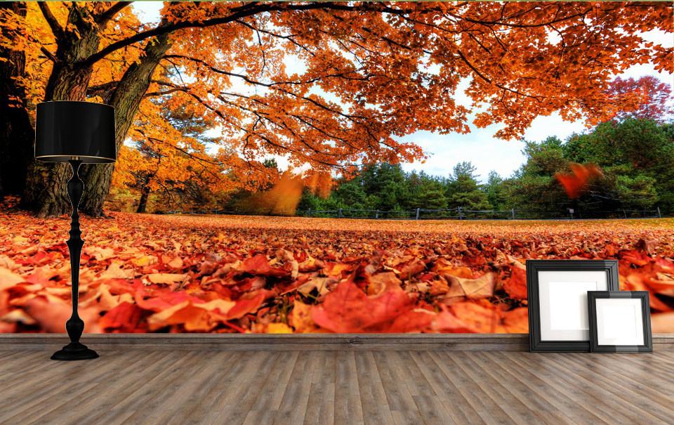 Yellow Leaves 1 Wallpaper AJ Wallpaper