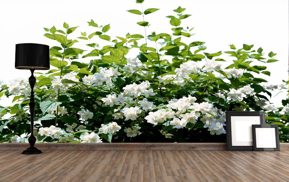 Blooming Tree 2 Wallpaper AJ Wallpaper