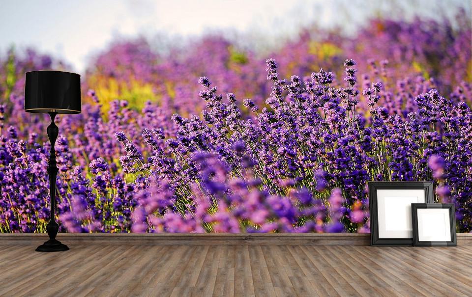 Purple Flowers Fields Wallpaper AJ Wallpaper