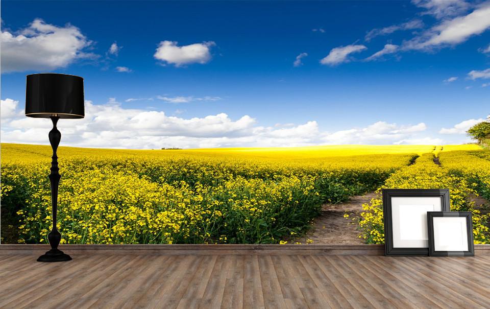 Rape Flowers Fields Wallpaper AJ Wallpaper