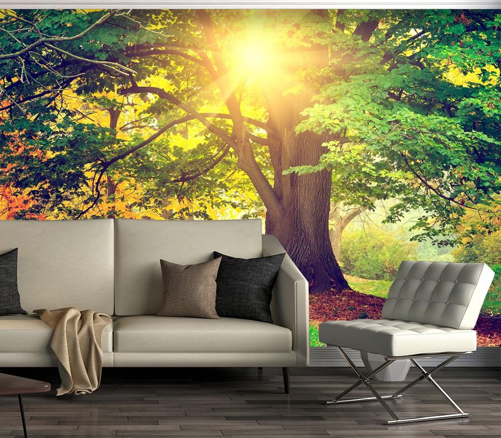 3D Sunshine Tree 55 Wallpaper AJ Wallpaper 