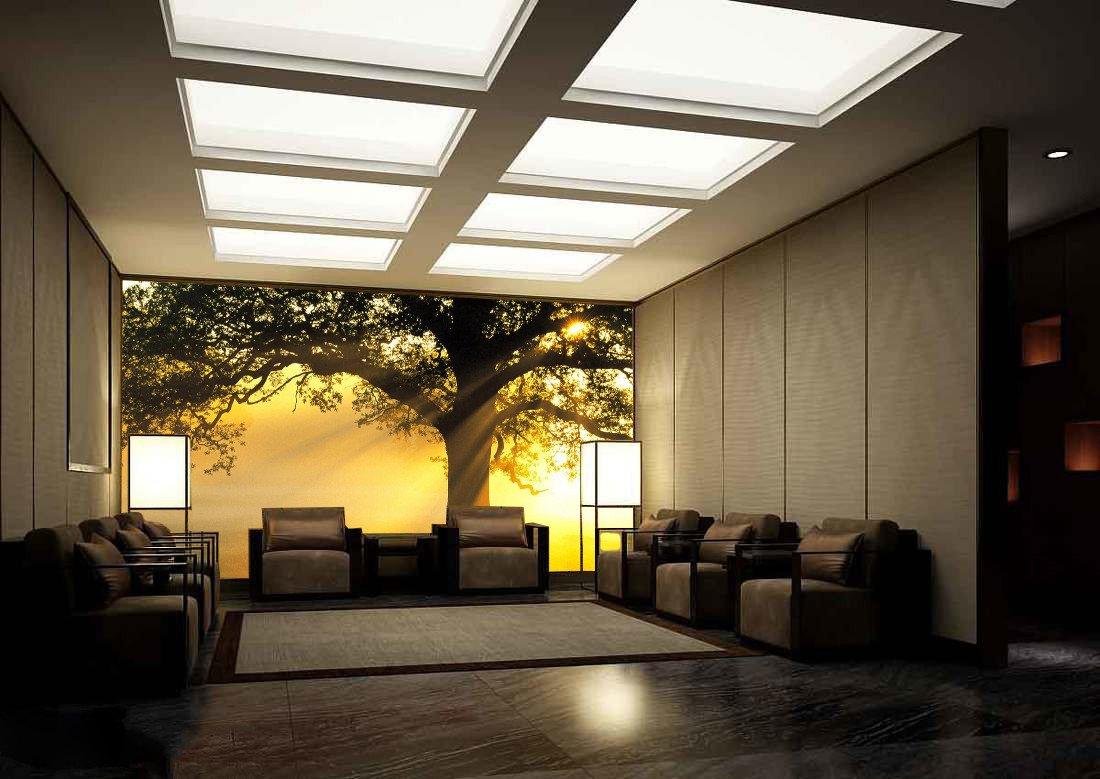 Sunshine Through The Tree 762 Wallpaper AJ Wallpaper 1