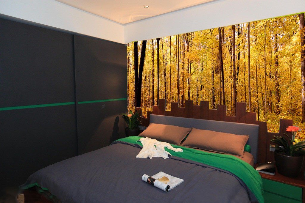 Forest Wallpaper AJ Wallpaper