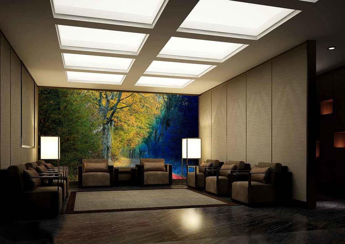 Forest Road 4 Wallpaper AJ Wallpaper