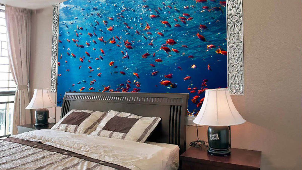 Fishes Wallpaper AJ Wallpaper