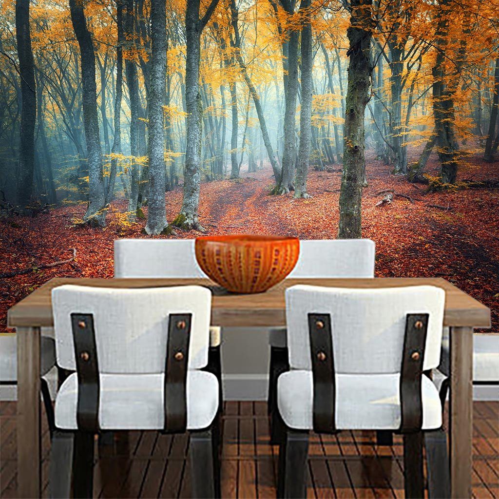 Forest 1 Wallpaper AJ Wallpaper