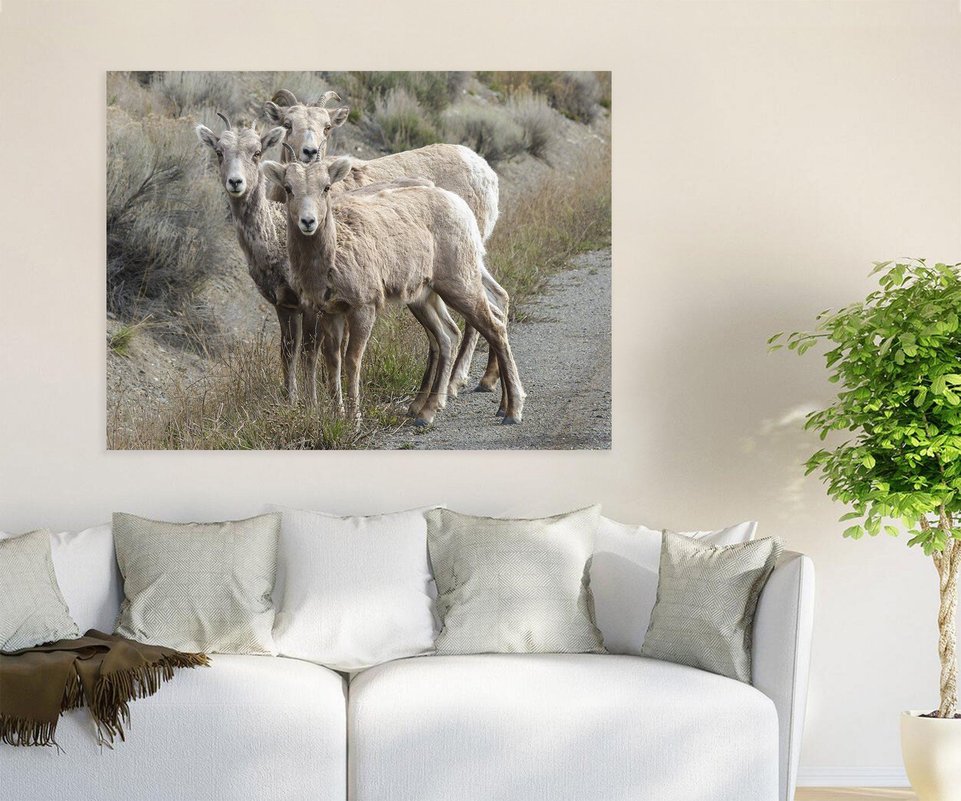 3D White Antelope 30 Animal Wall Stickers Wallpaper AJ Wallpaper 2