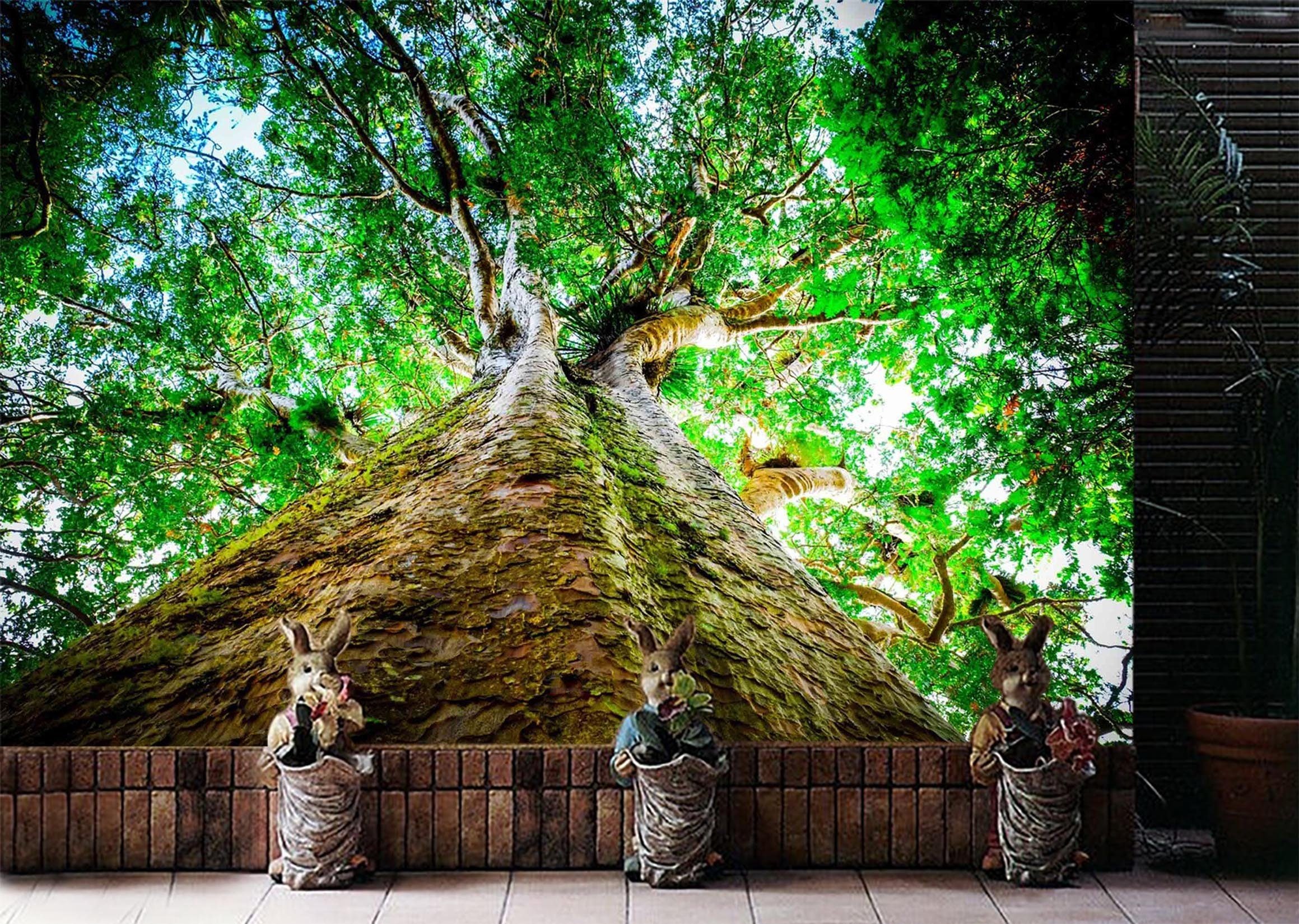 3D Large Trees Flourish 638 Wallpaper AJ Wallpaper