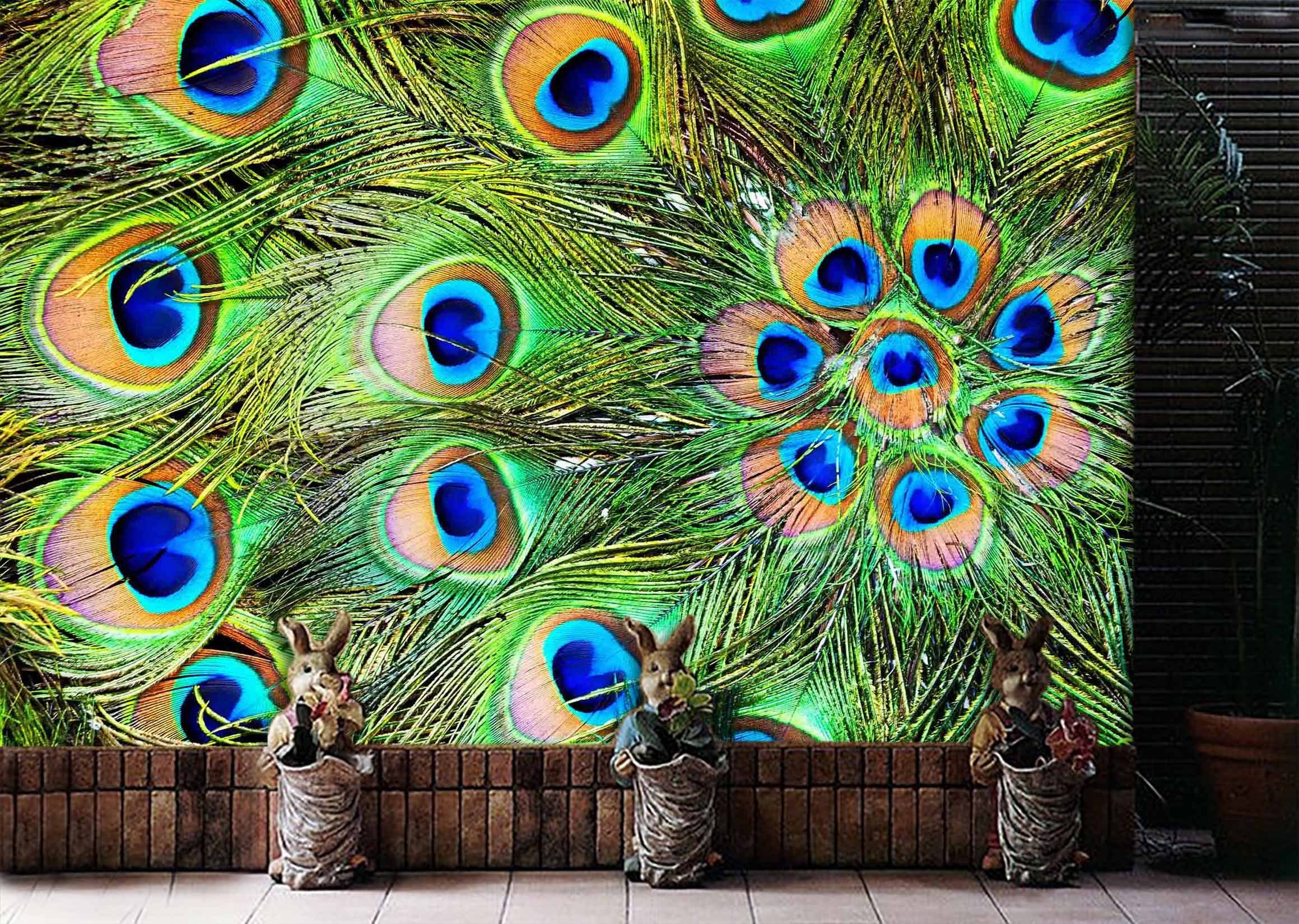 3D Peacock Feather 1 Wallpaper AJ Wallpaper