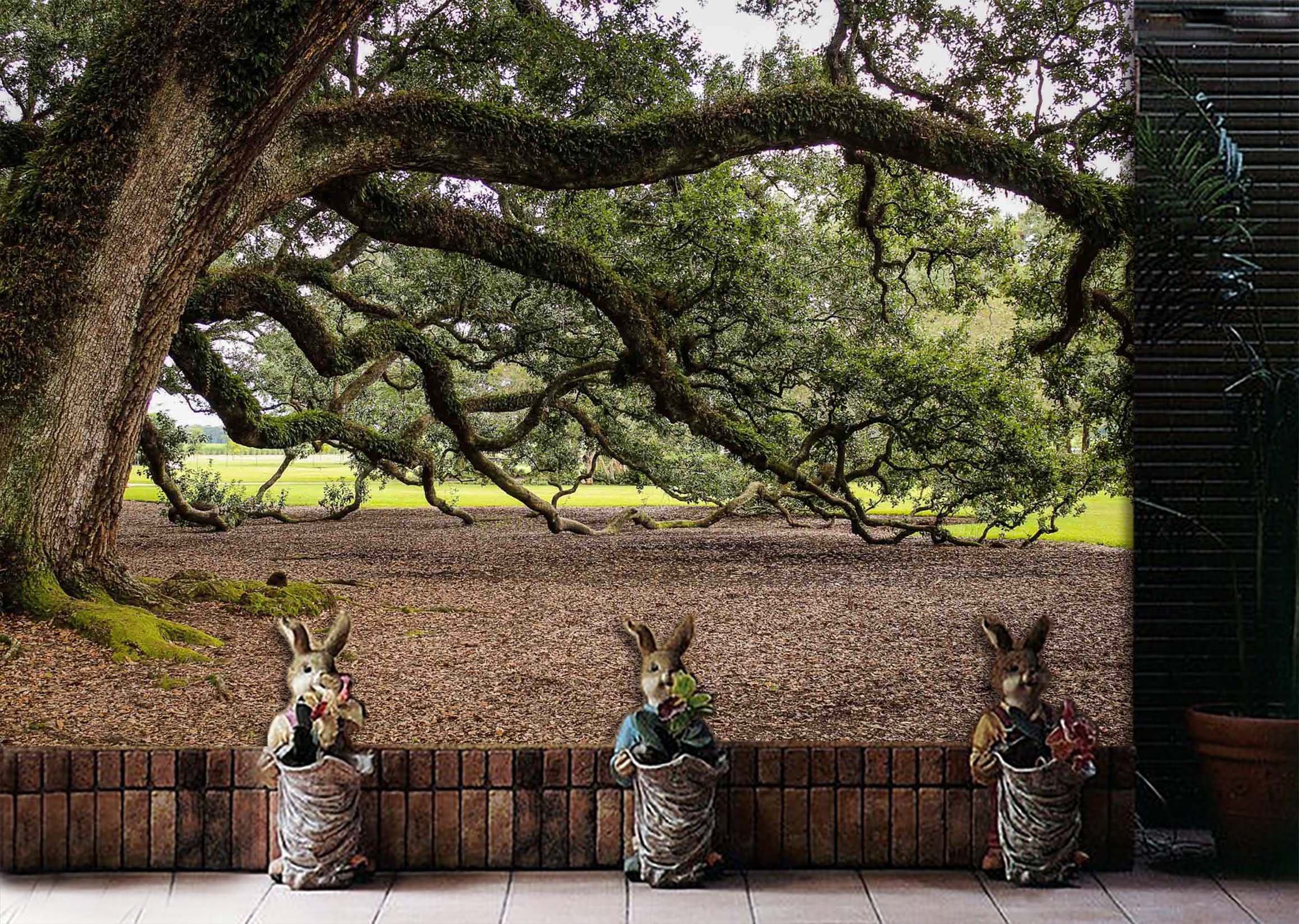 3D Thick Tree 774 Wallpaper AJ Wallpaper