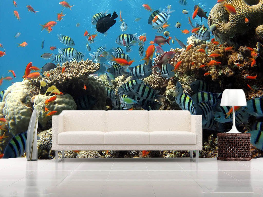 Undersea World 1 Wallpaper AJ Wallpaper