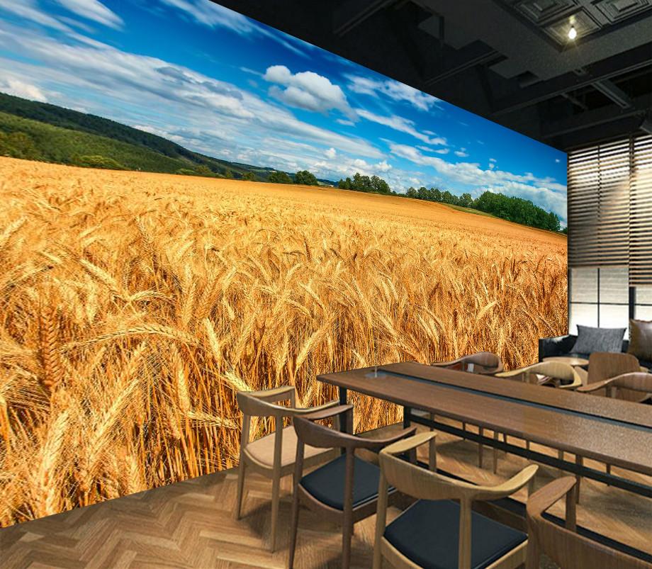 Wheat Fields 94 Wallpaper AJ Wallpaper 1