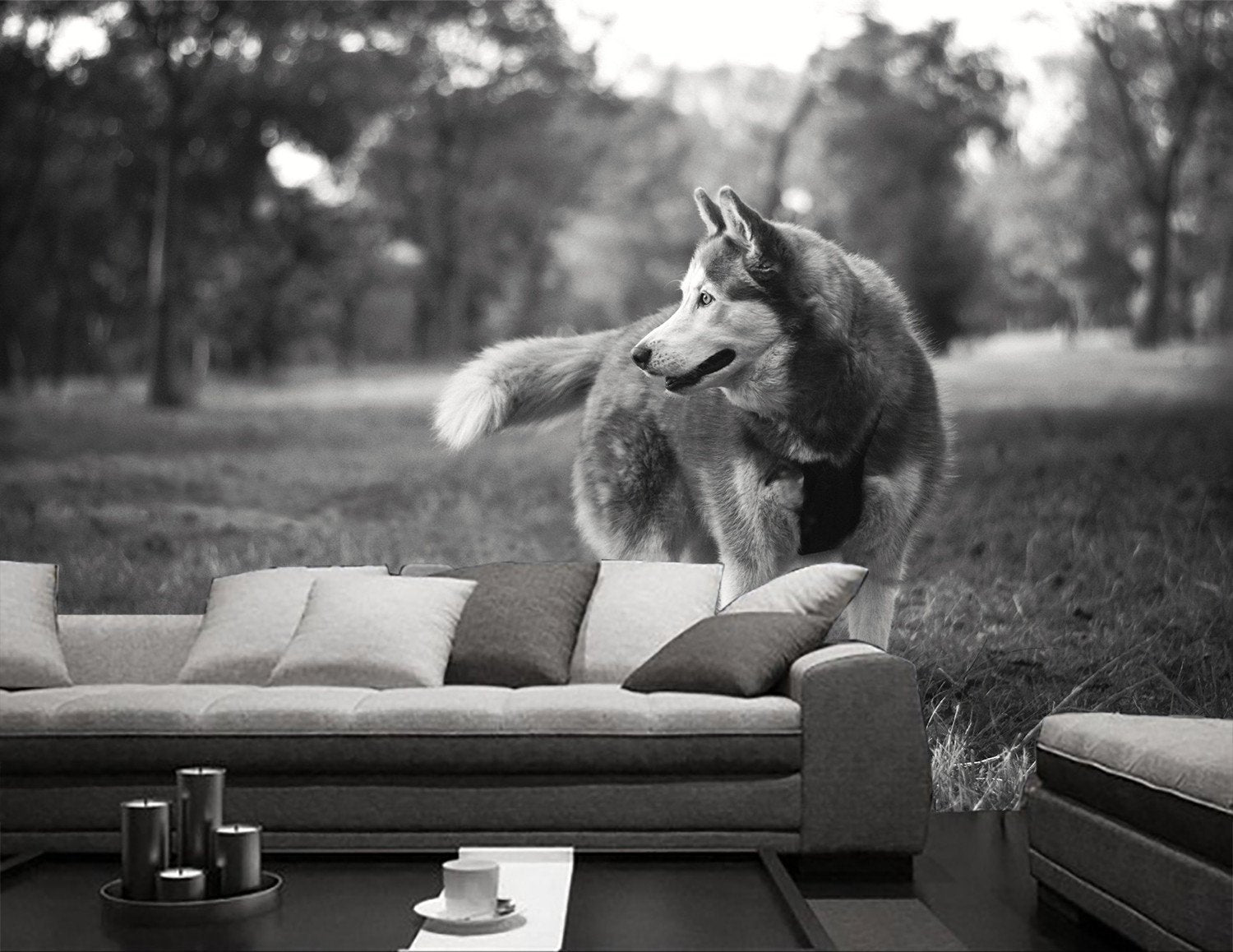 3D Running Huskies 46 Wallpaper AJ Wallpaper